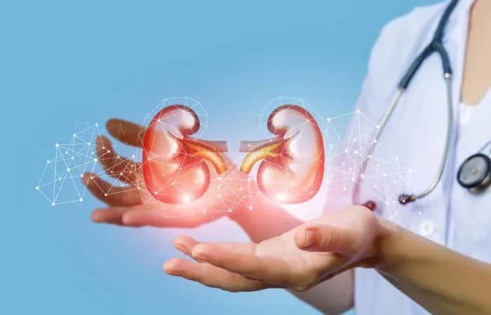 Czy urolog leczy nerki? Sprawdź, kiedy warto się zgłosić