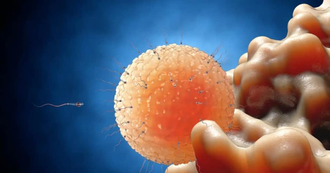 Co się dzieje po owulacji? Kluczowe zmiany, które musisz znać