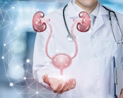 Urolog - co leczy ten lekarz i kiedy warto się zgłosić?