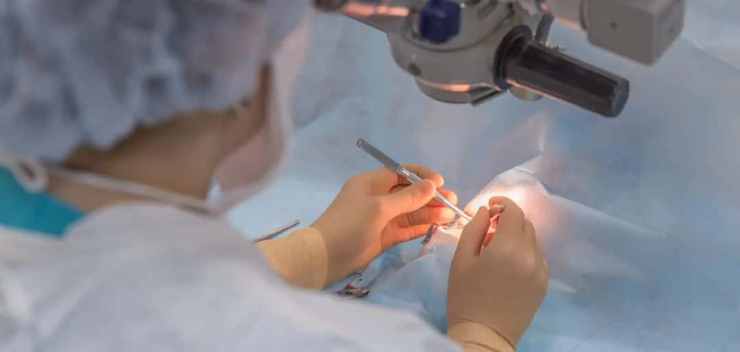 Gdzie usunąć zaćmę na NFZ? Sprawdź najlepsze placówki i terminy